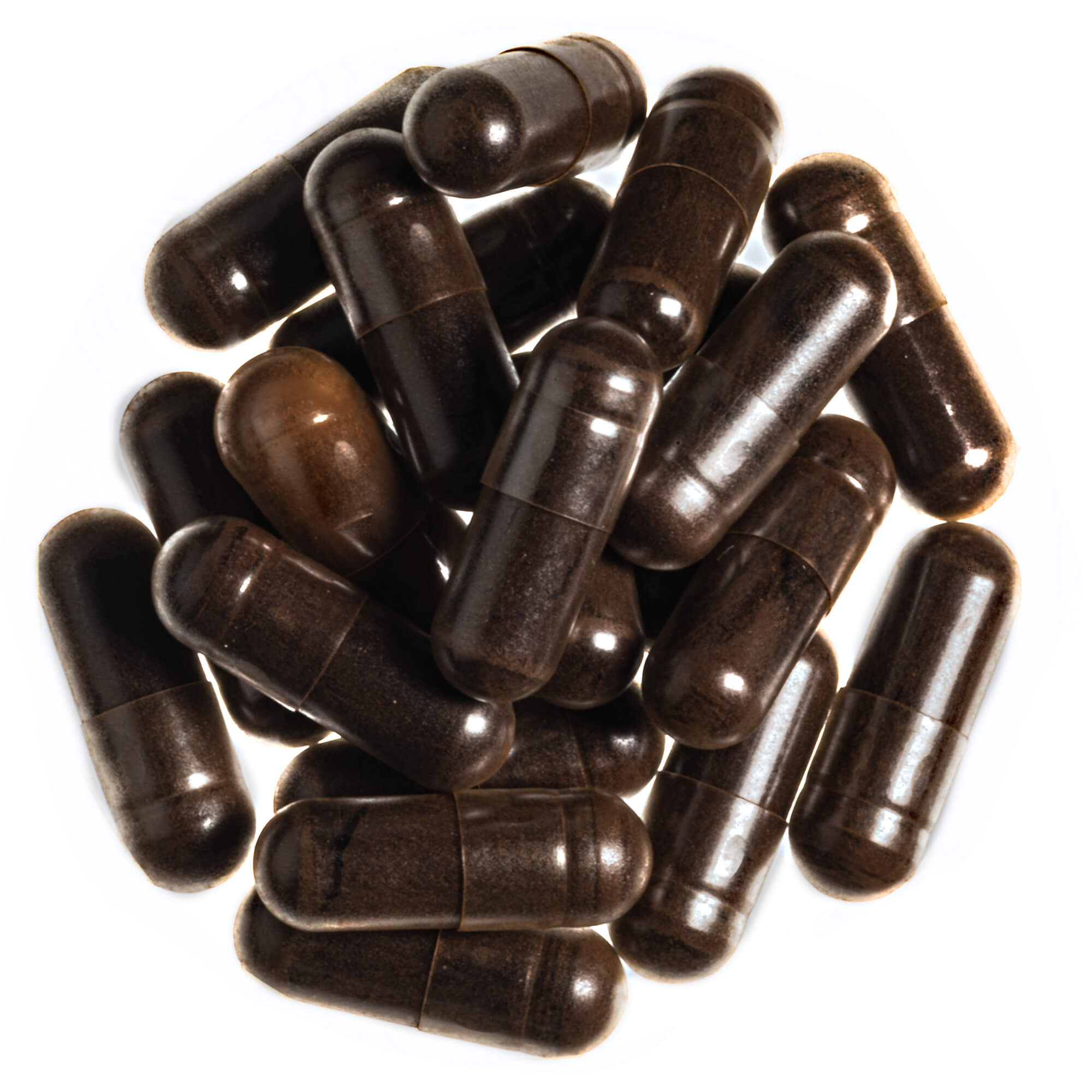 Chaga-Vitalpilz-Extrakt-Kapseln_1 Chaga Vitalpilz Extrakt Kapseln, Bio