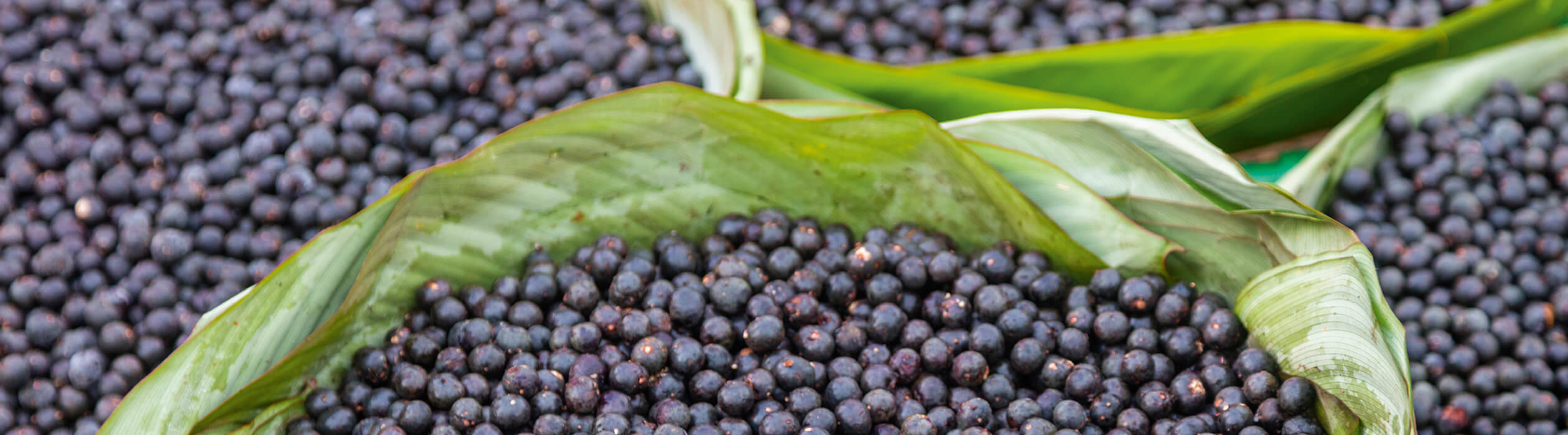 2520x700_Superfood