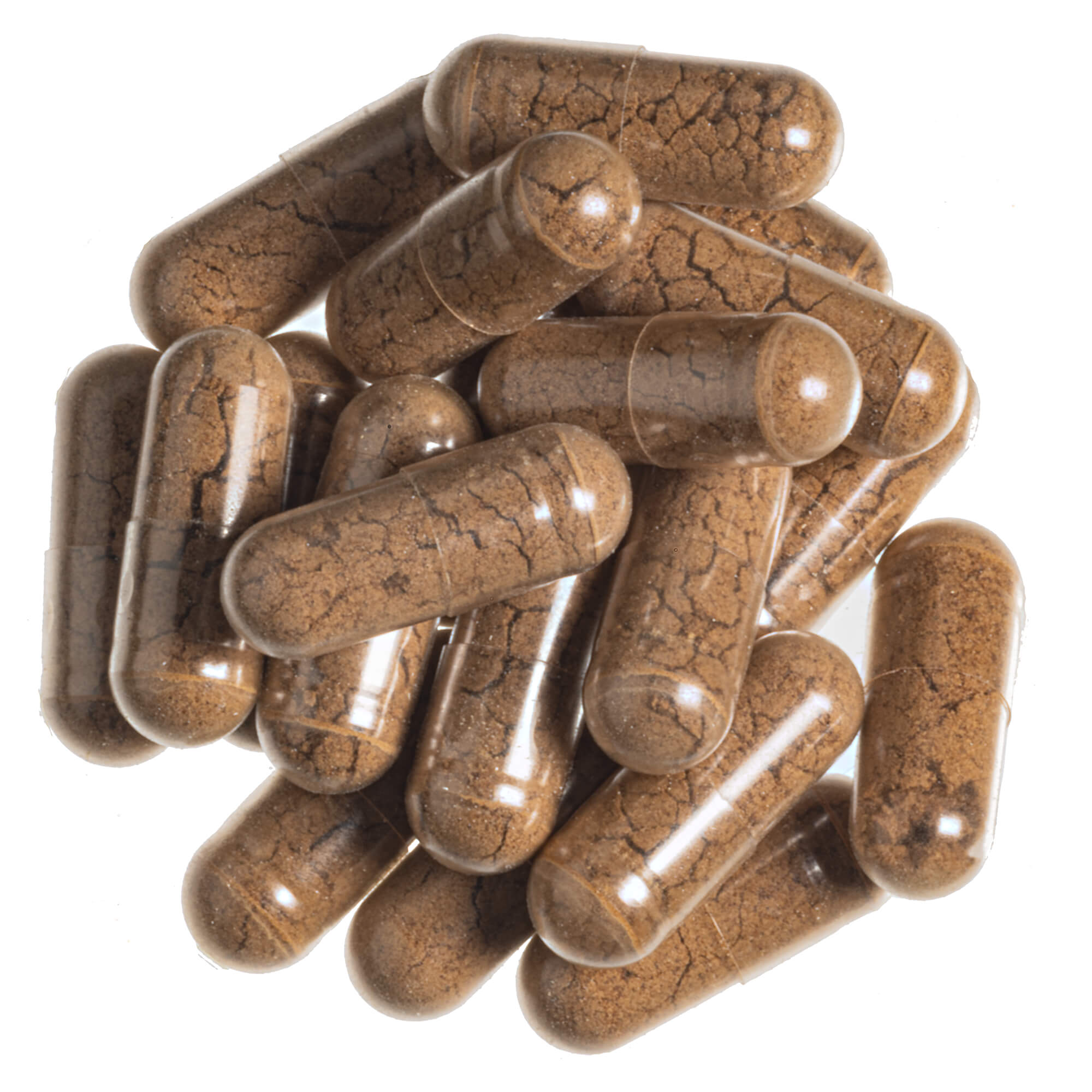 Cordyceps-Vitalpilz-Pulver-Kapseln-_1