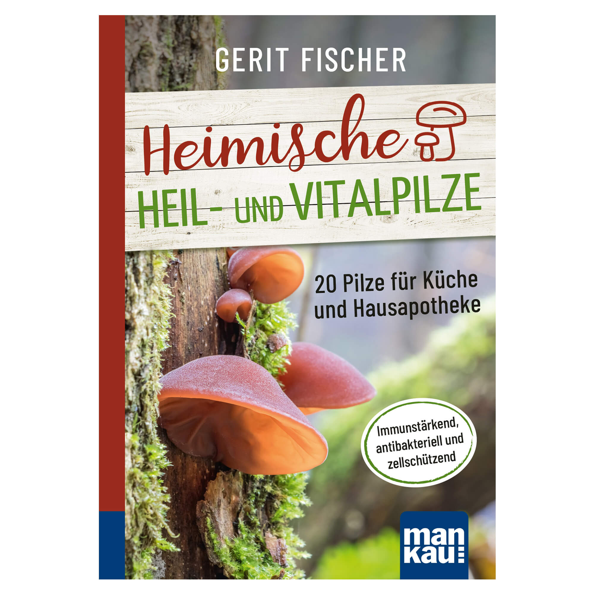 Heimische-Heil-und-Vitalpilze-Fischer Heimische Heil- und Vitalpilze