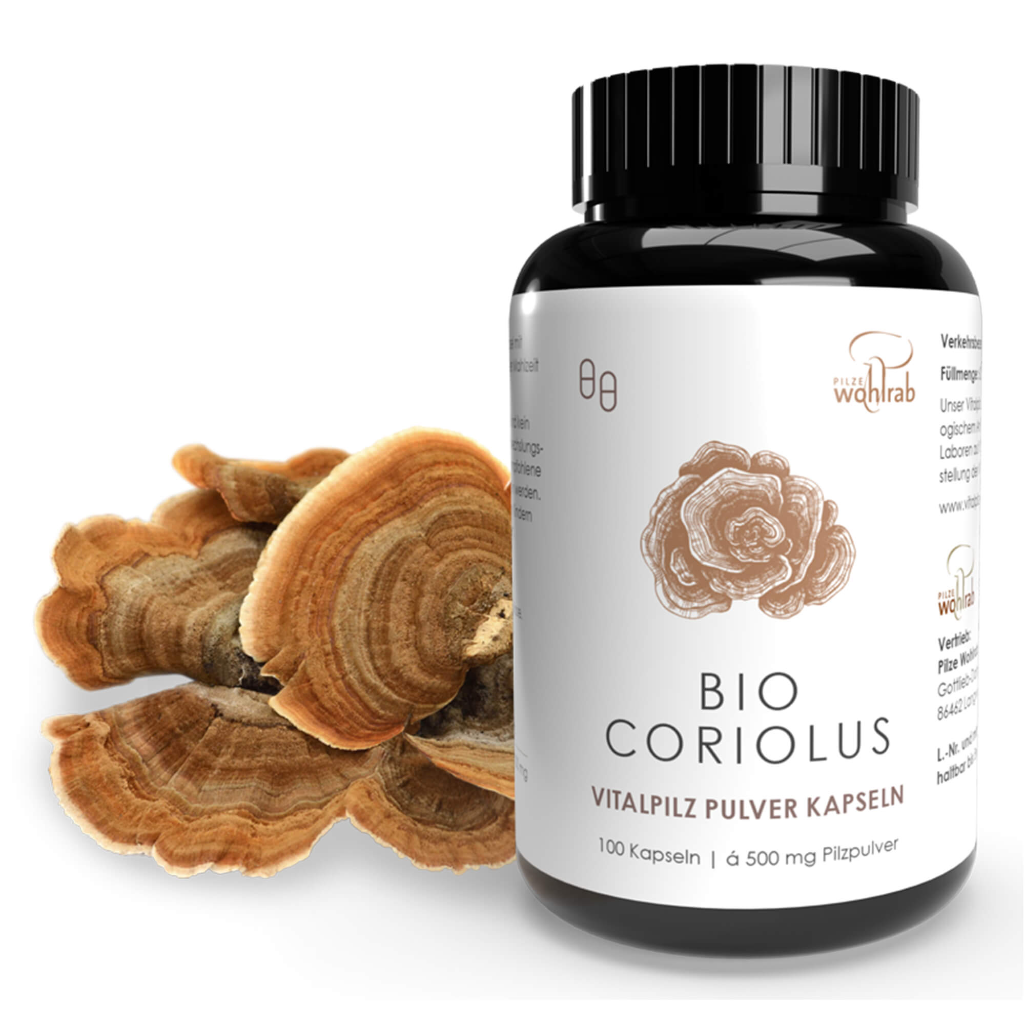 Coriolus mushroom powder capsules, organic Coriolus mushroom powder capsules, organic