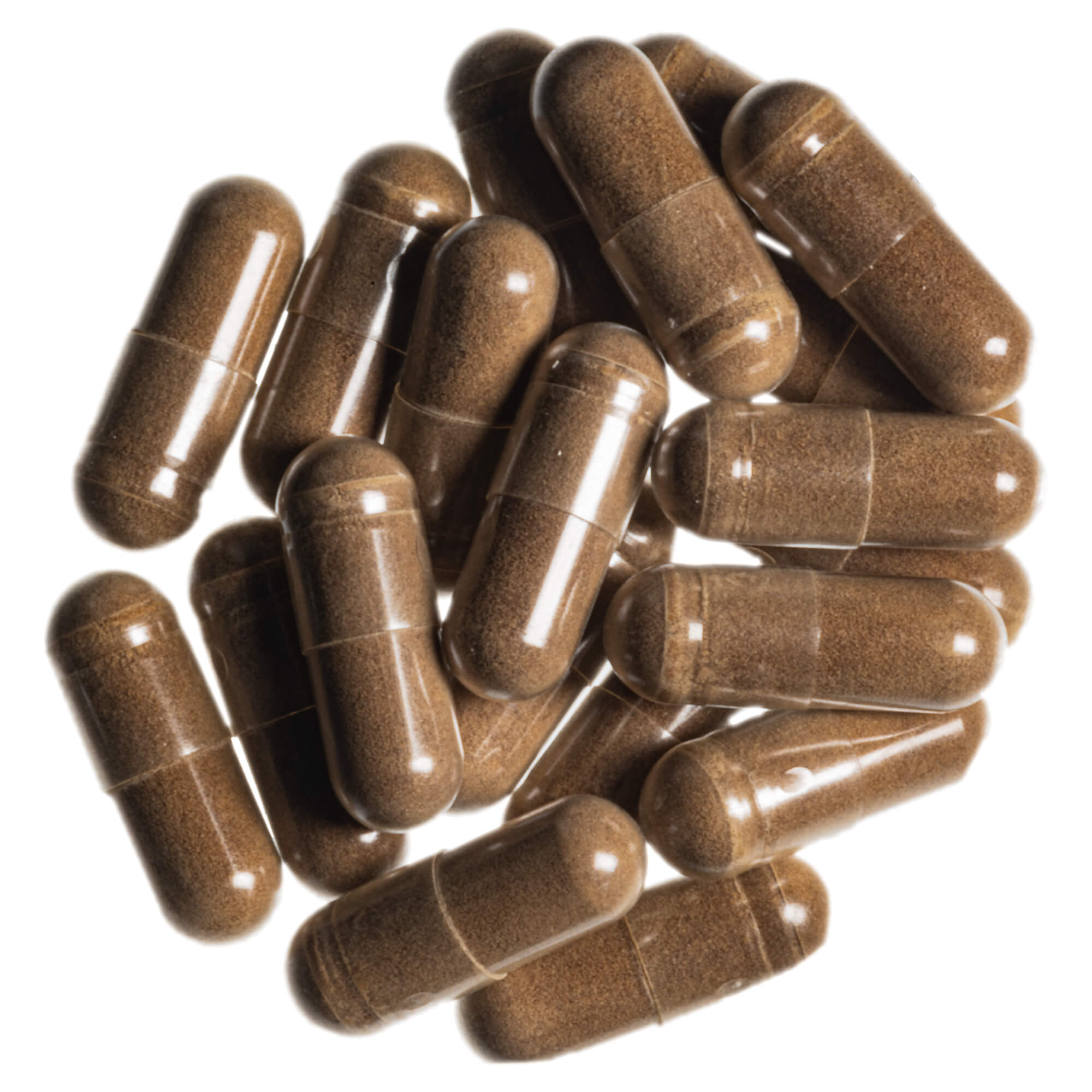 Coriolus-Vitalpilz-Extrakt-Kapseln_1-2