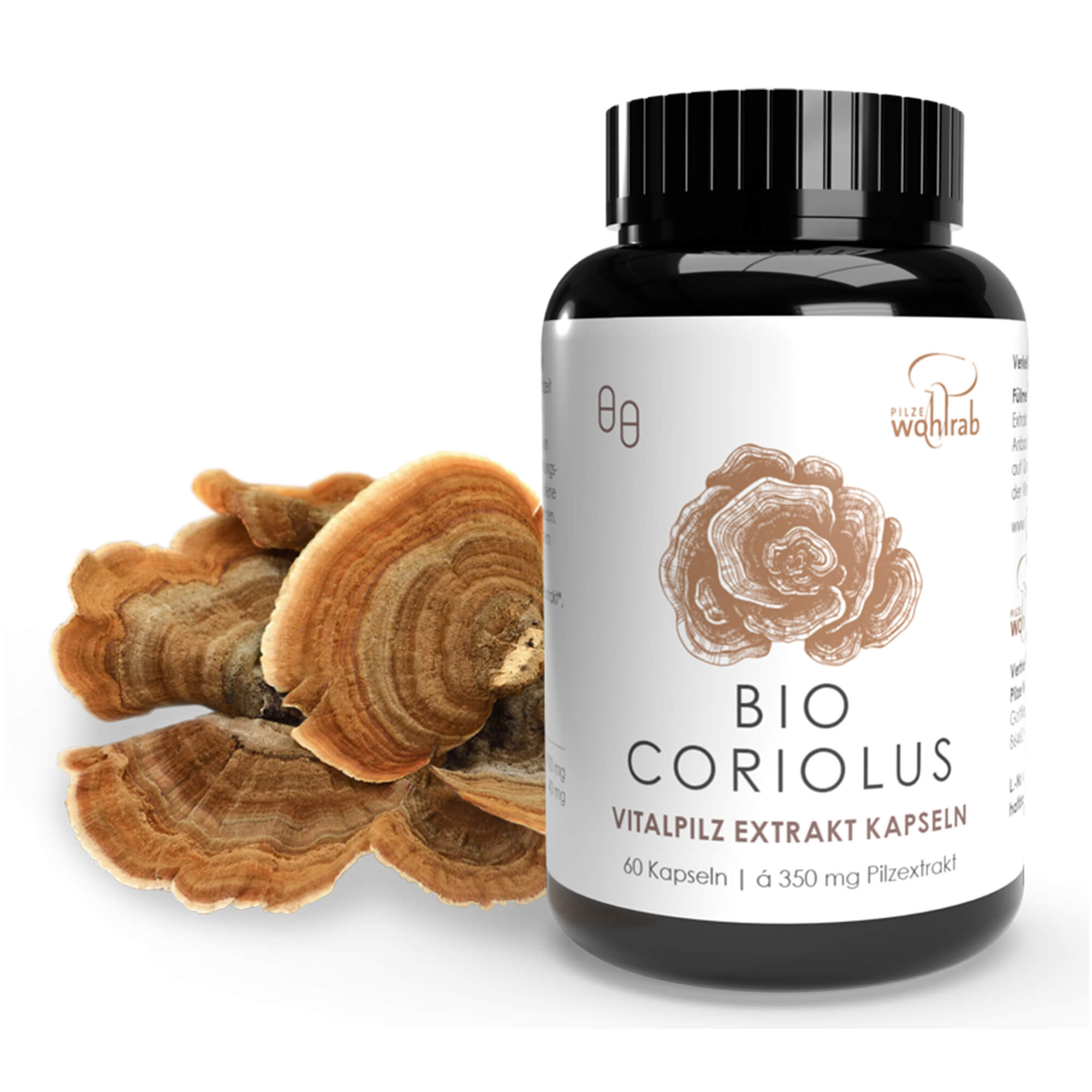 Coriolus Vitalpilz Extrakt Kapseln, BIO Coriolus Vitalpilz Extrakt Kapseln, BIO