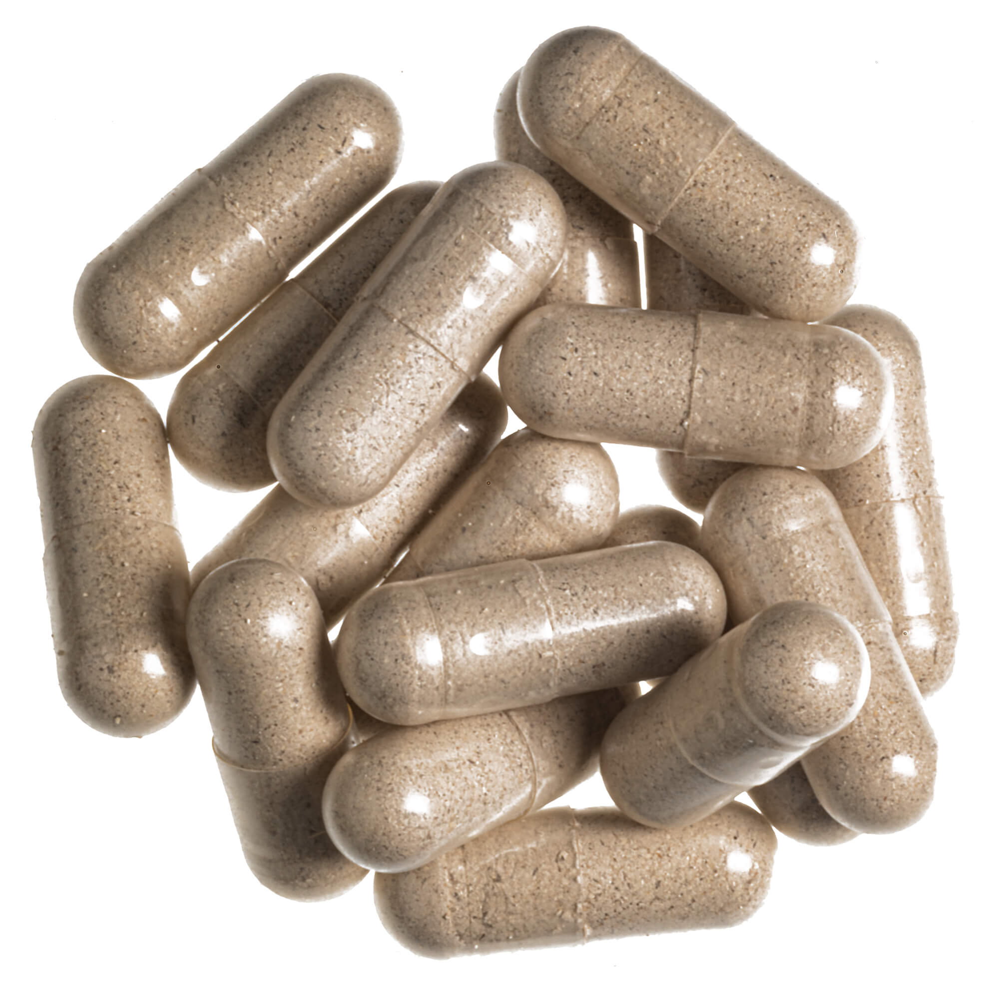 Coriolus-Vitalpilz-Pulver-Kapseln