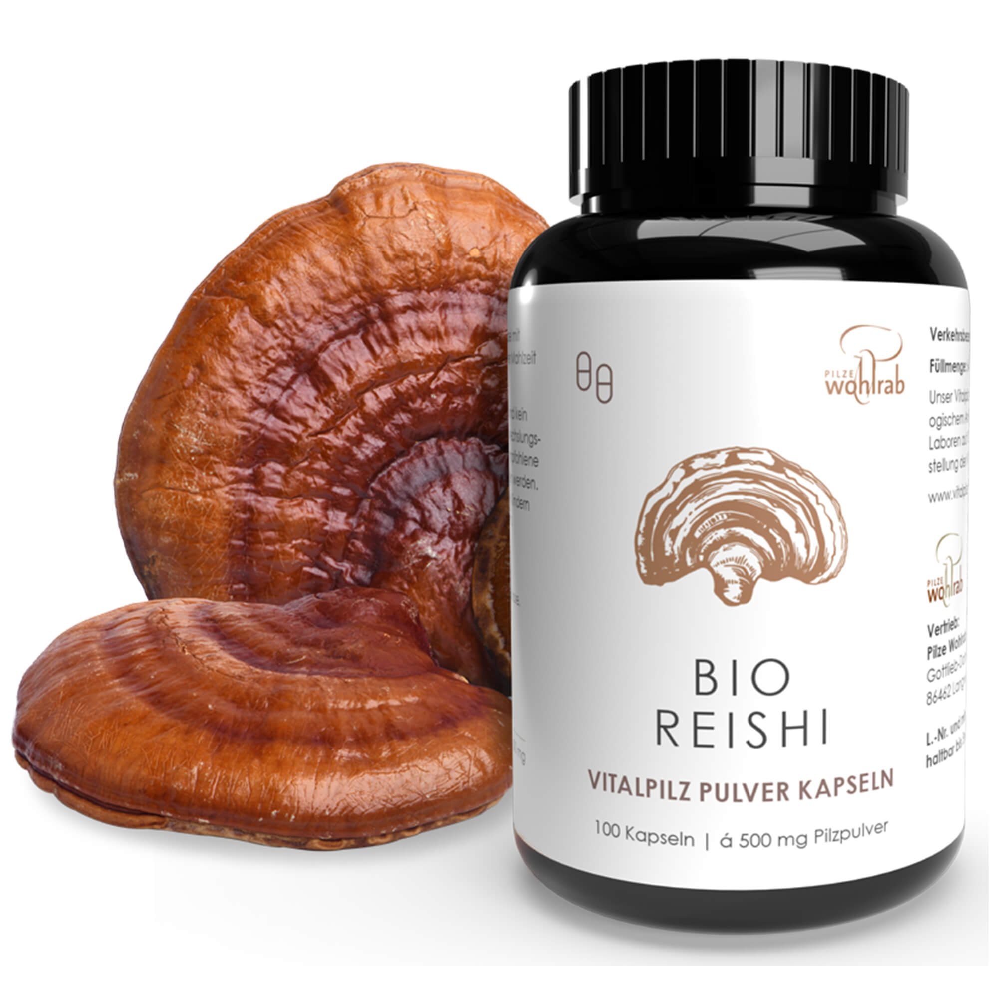 Reishi Vitalpilz Pulver Kapseln, Bio Reishi Vitalpilz Pulver Kapseln, Bio