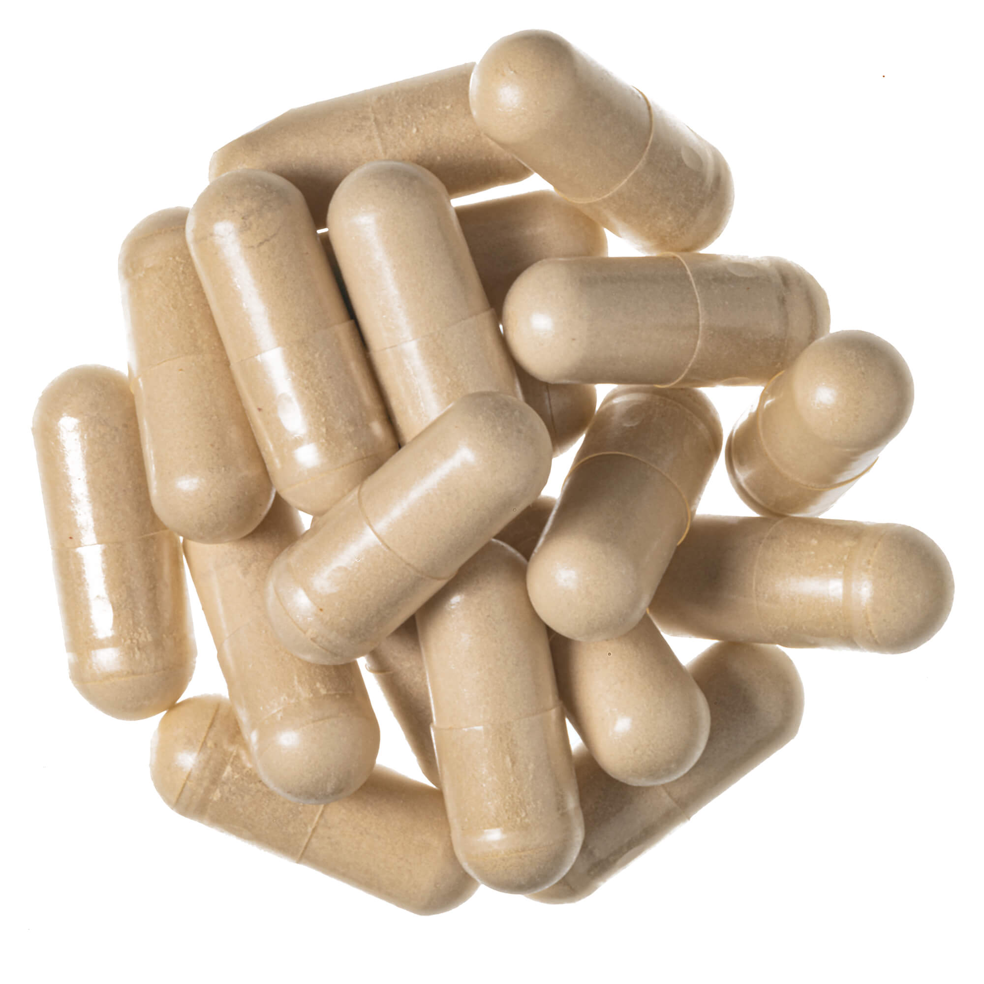 Hericum-Vitalpilz-Extrakt-Kapseln_1
