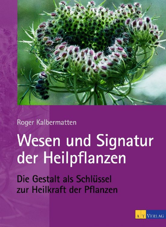 xl_wesen-und-signatur-kalbermatten-1000