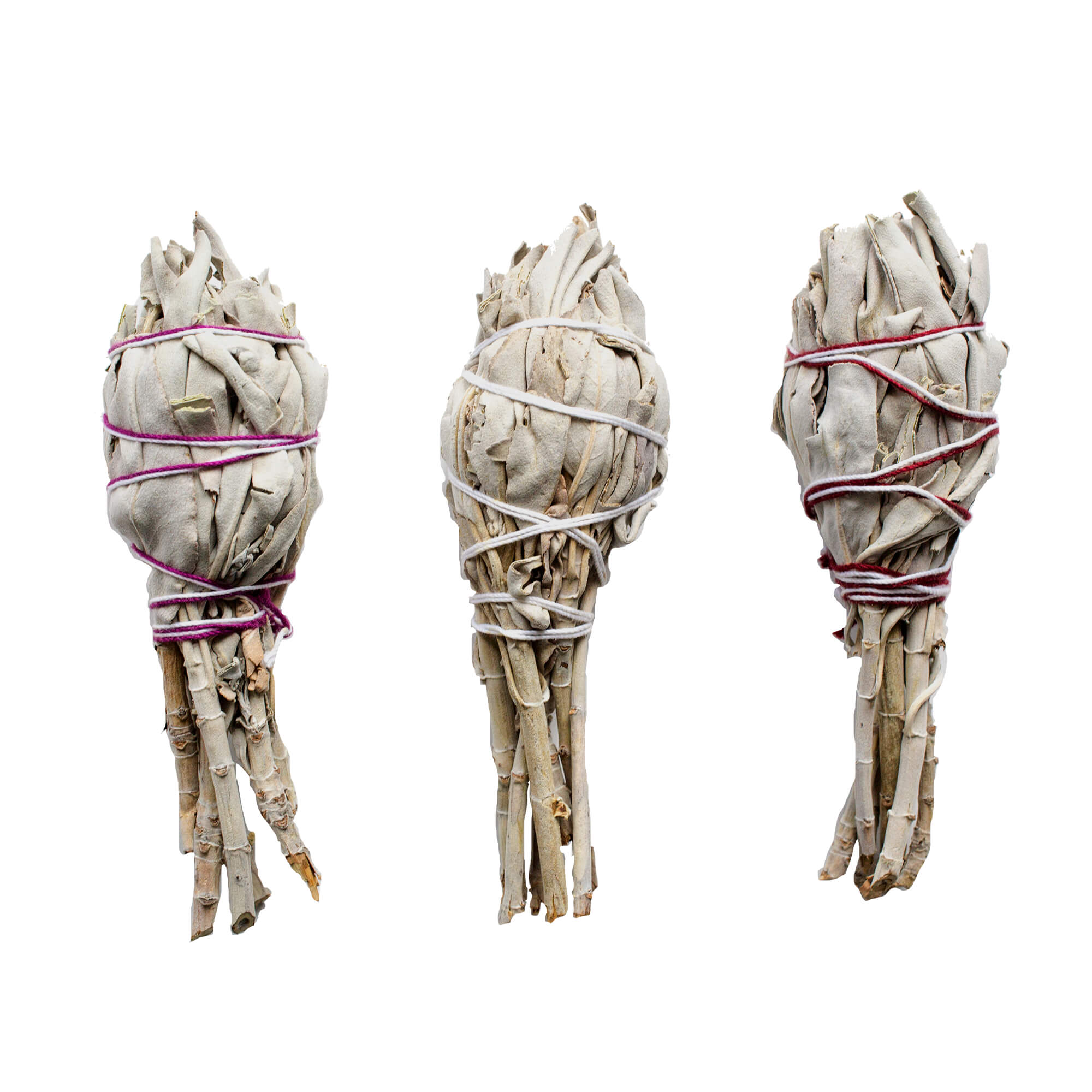 Weisser-Salbei-Fackelform-3-Mini White Sage 3 Mini Smudge Sticks, Torch shape