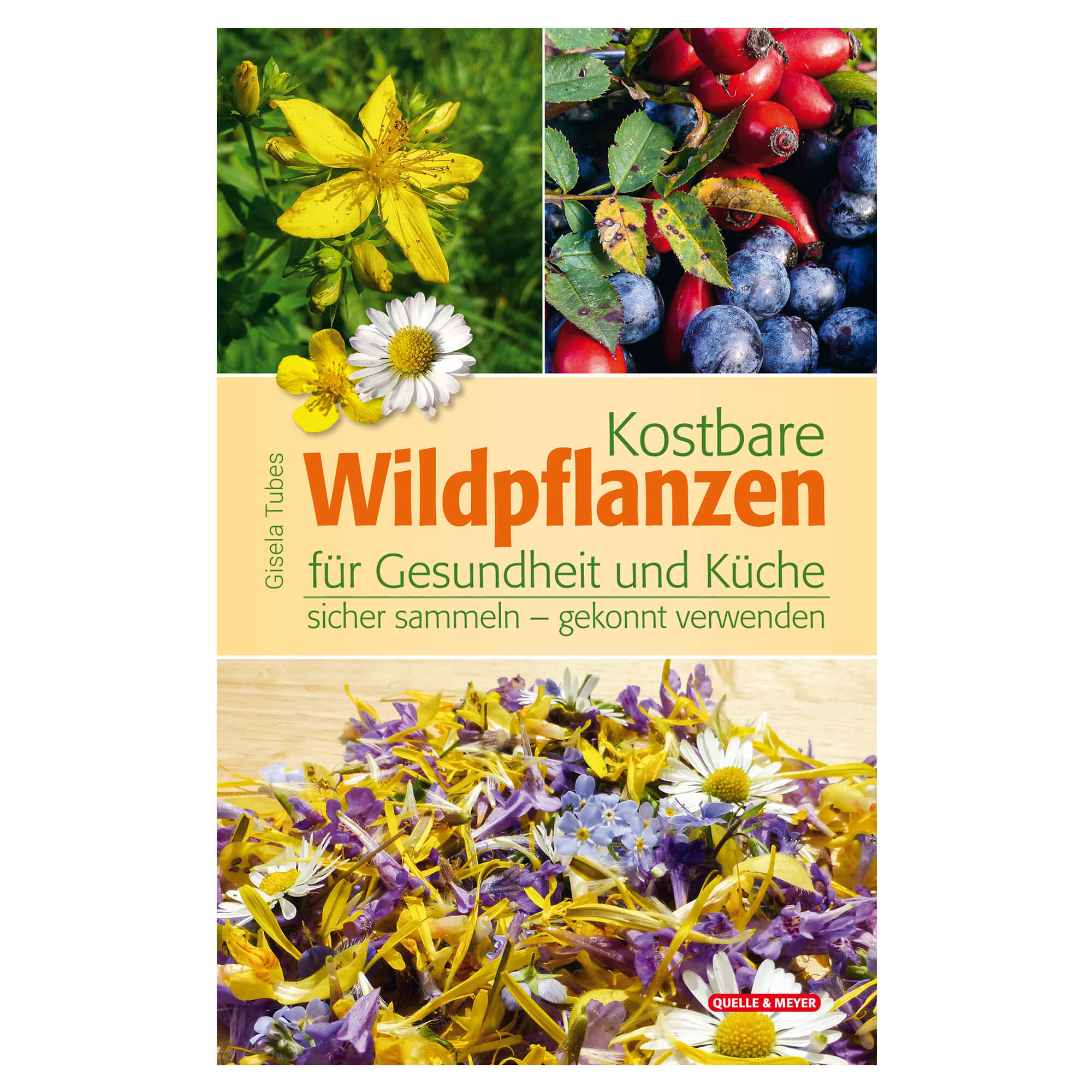 Kostbare Wildpflanzen für Gesundheit und Küche
