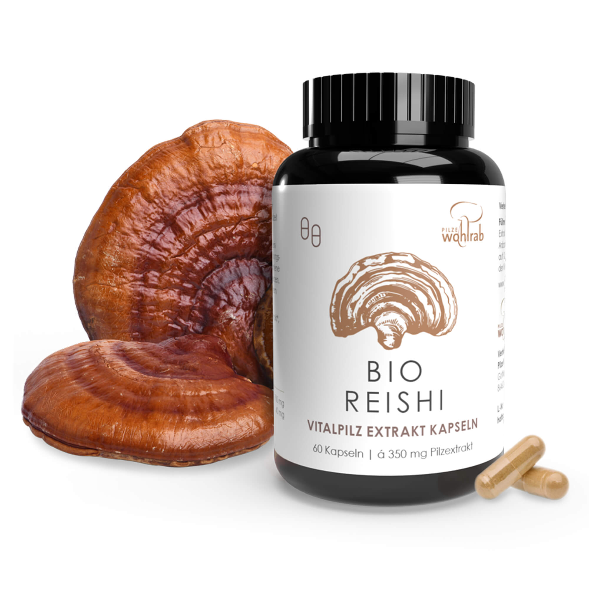 Reishi Mushroom Extract Capsules, organic