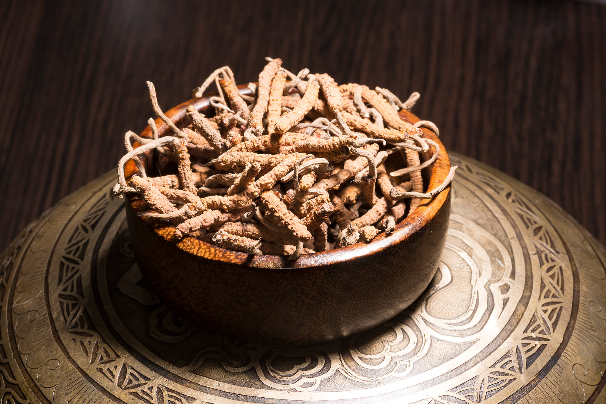Cordyceps-Yartsa-Gunbu-Blog