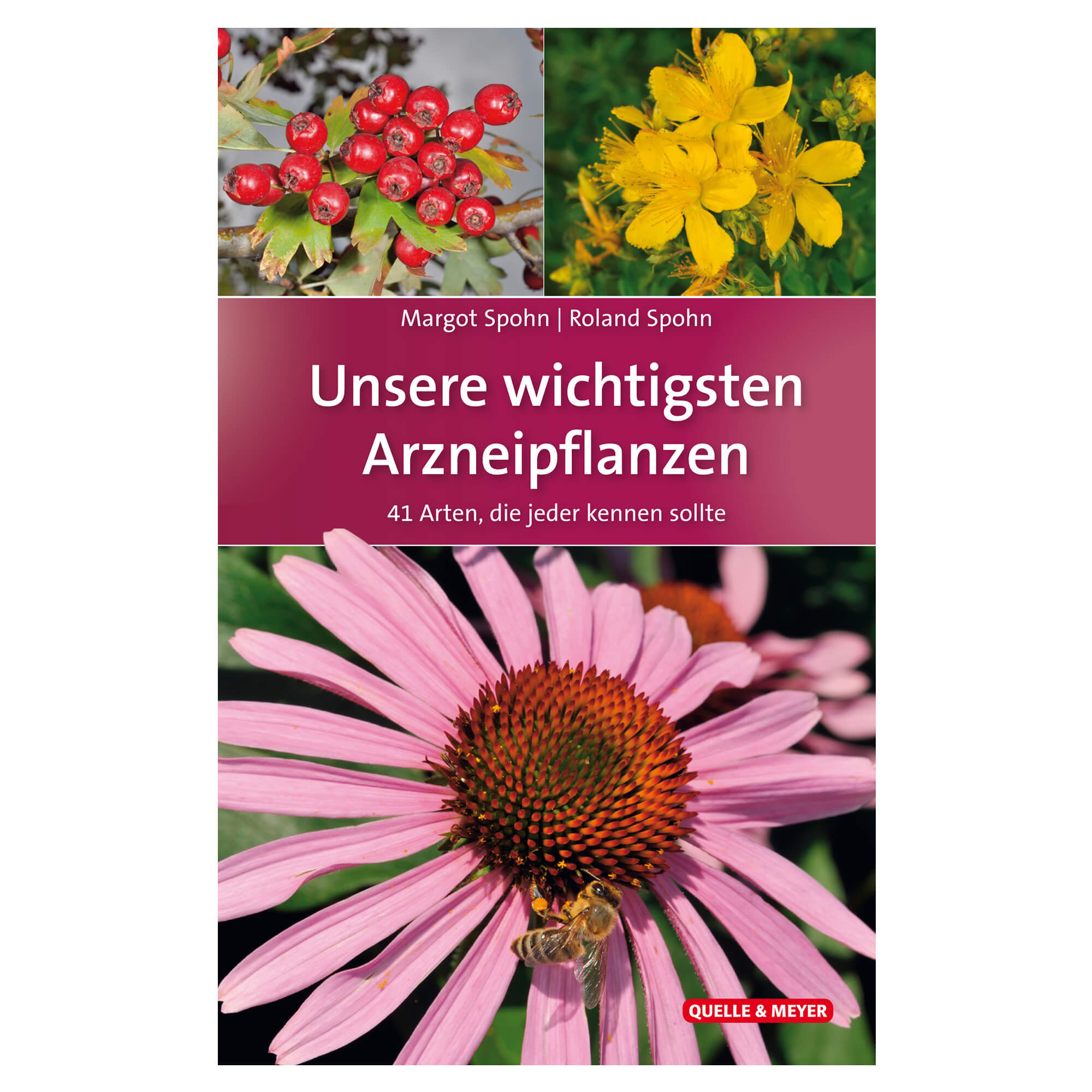 Unsere wichtigsten Arzneipflanzen