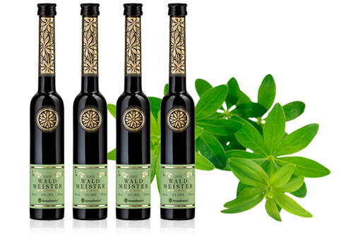 480x336_Sensatonics_WaldmeisterXJiNDRRWM9aSZ