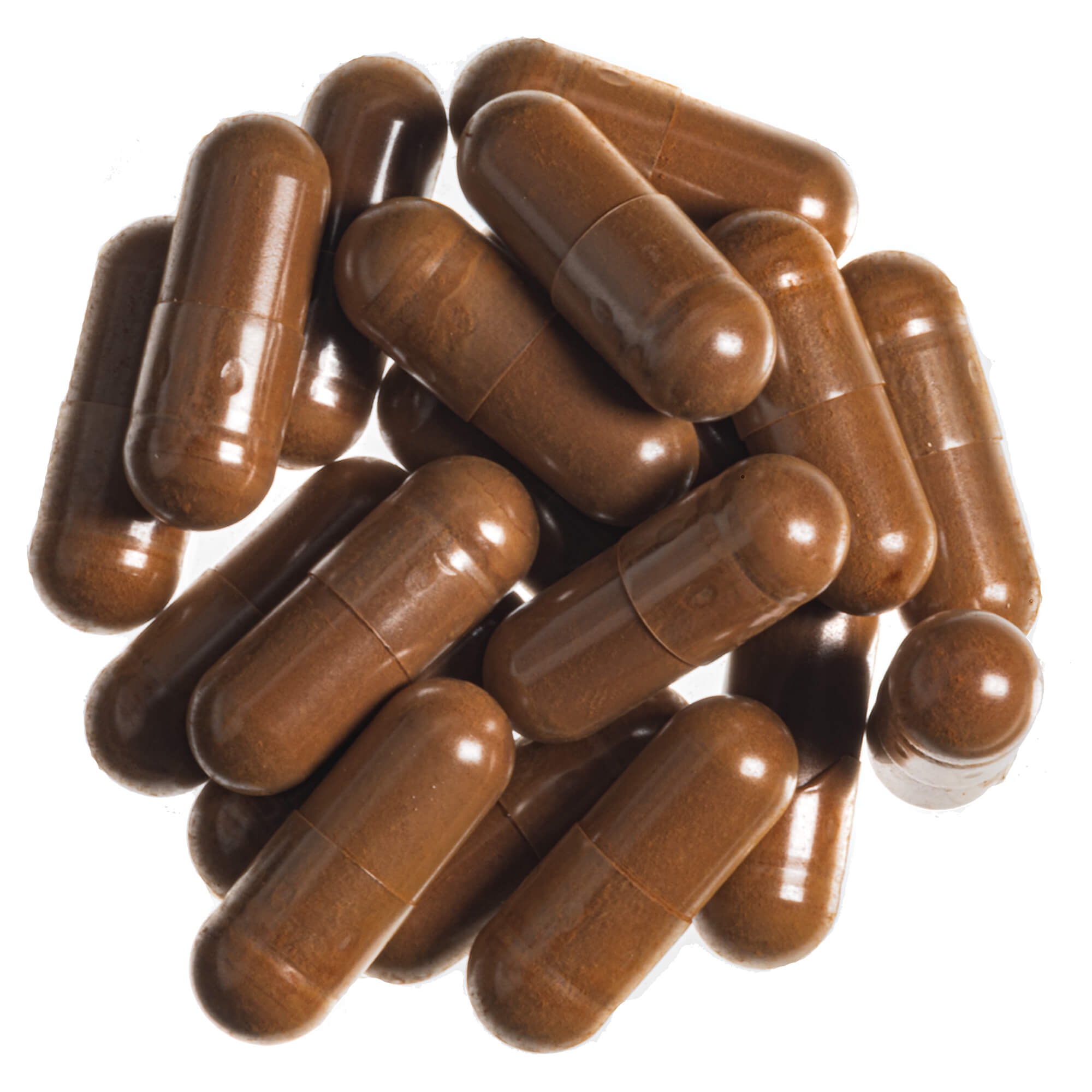 Chaga-Vitalpilz-Pulver-Kapseln_1