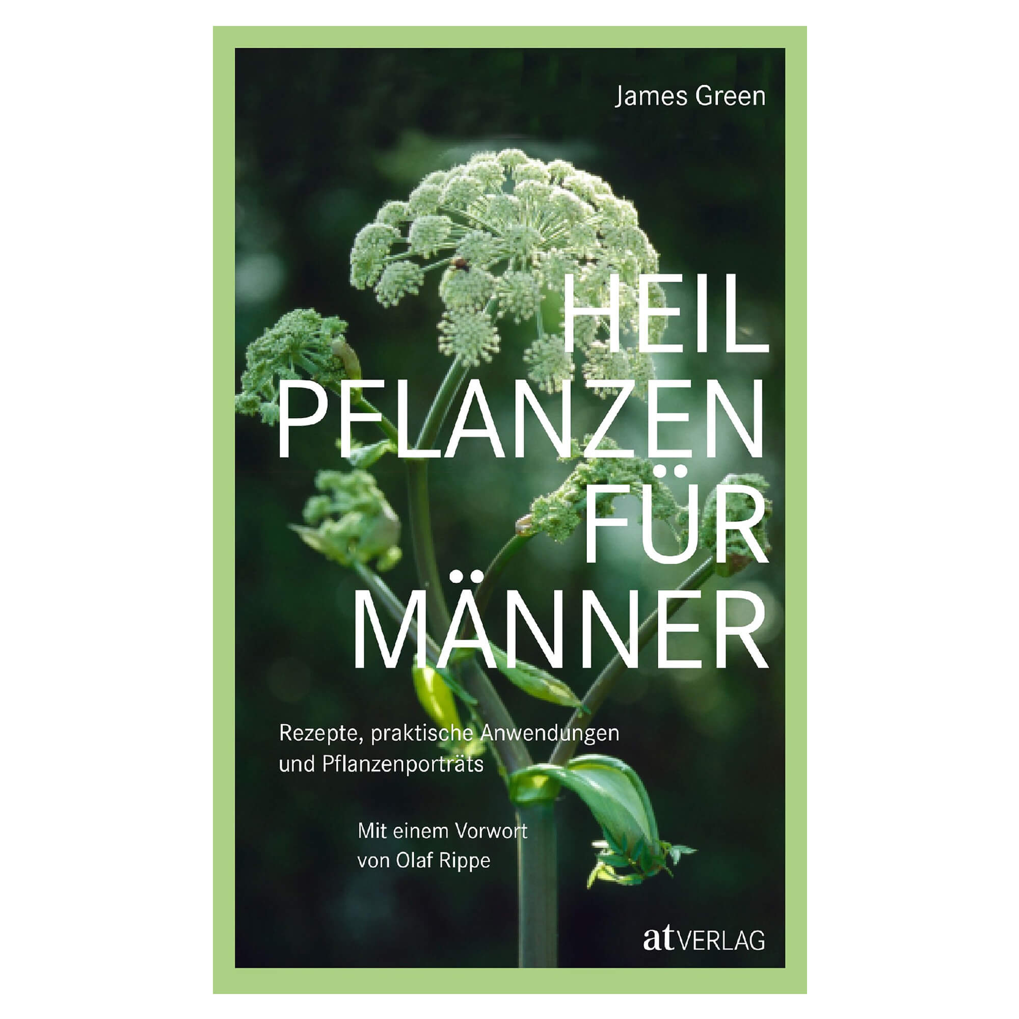 Heilpflanzen für Männer