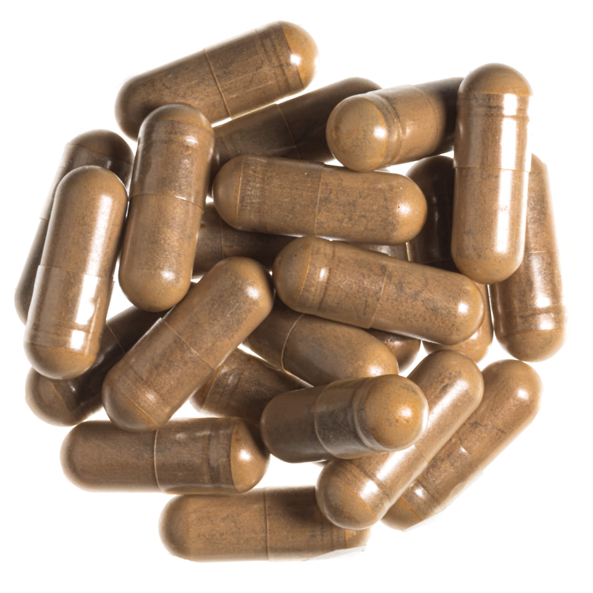 Maitake Mushroom Powder Capsules, organic
