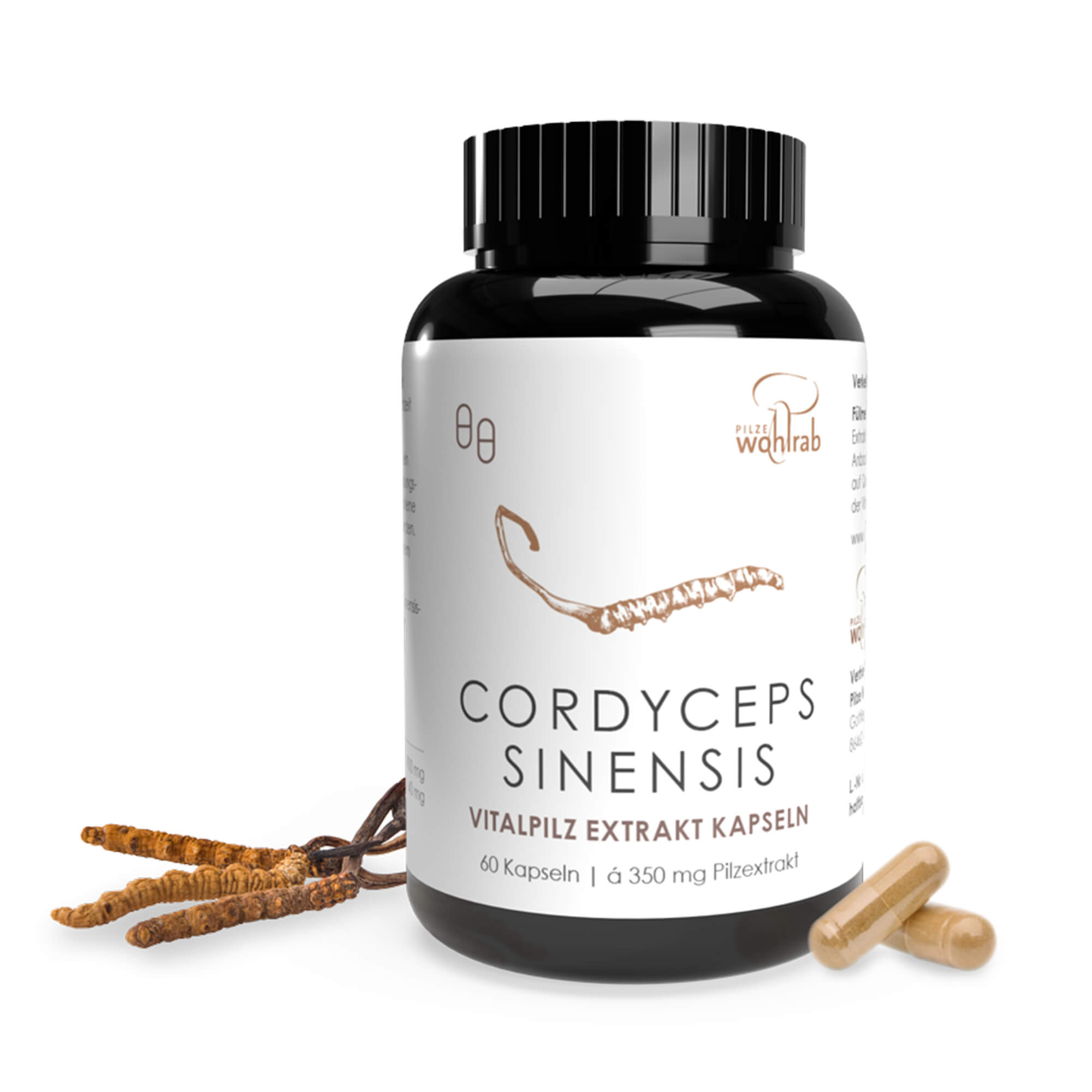 Cordyceps Mushroom Extract Capsules, organic
