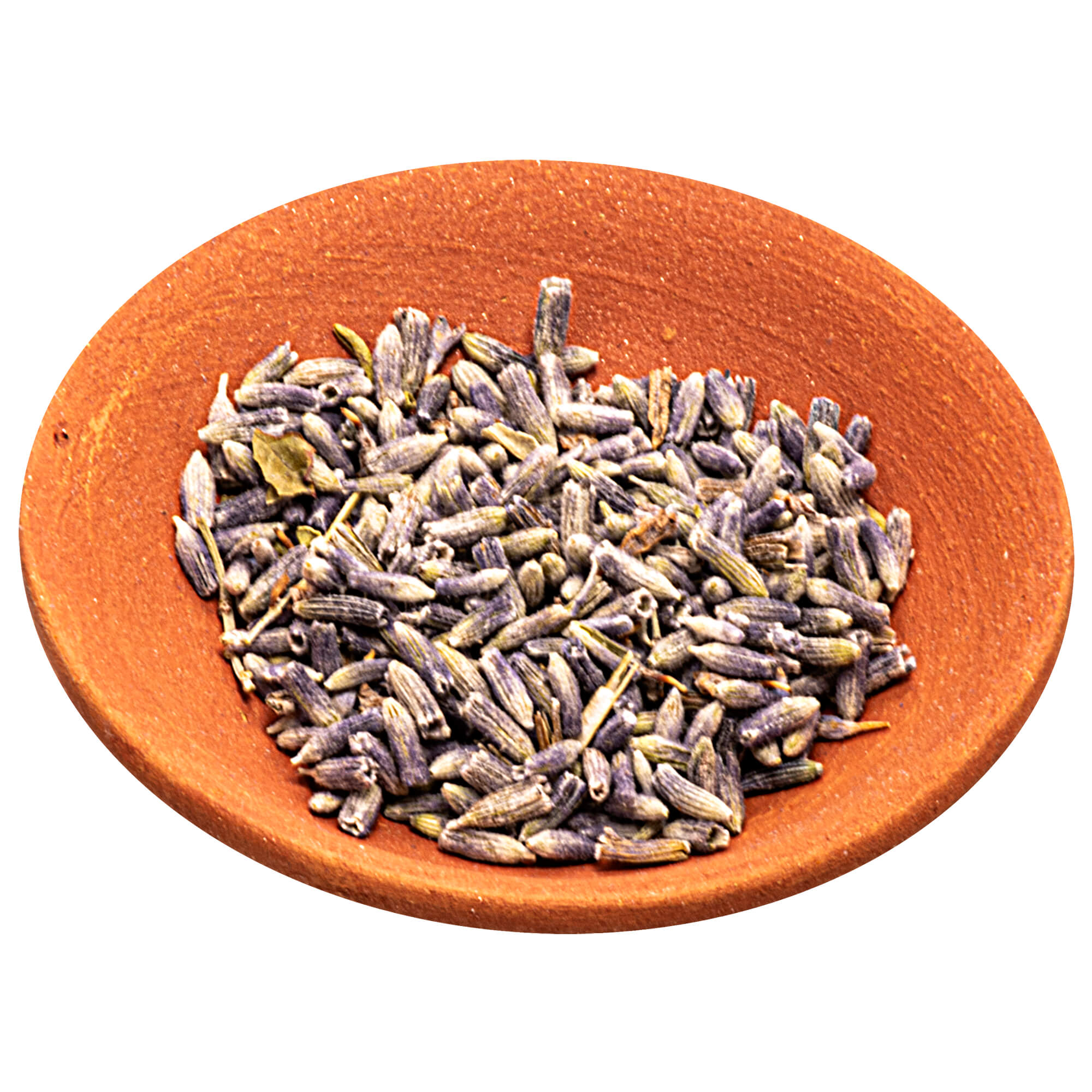 Lavender flowers