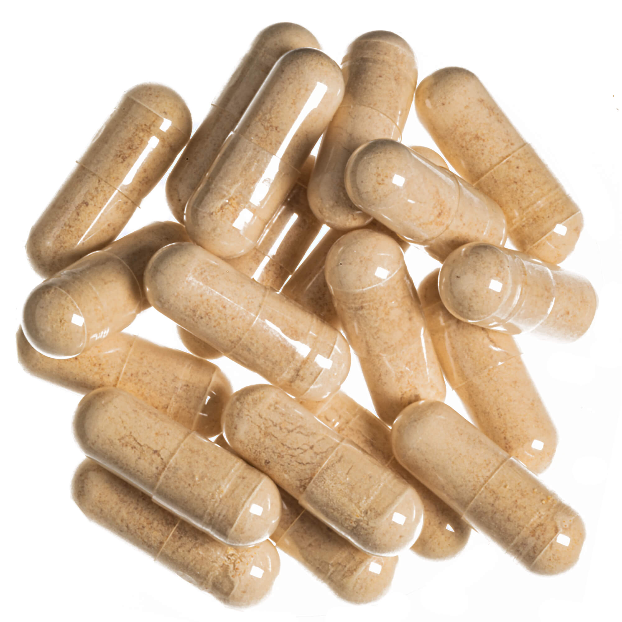 Maitake-Vitalpilz-Extrakt-Kapseln_1