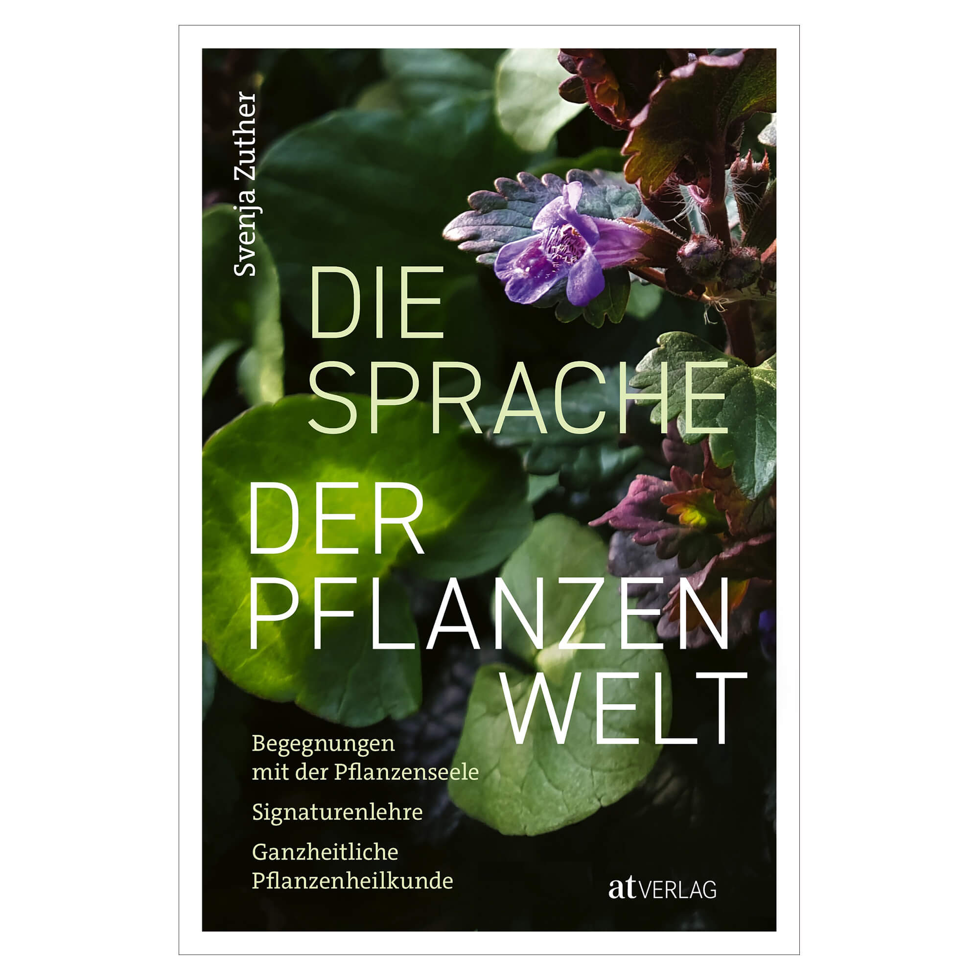 Zuther-Sprache-der-Pflanzenwelt