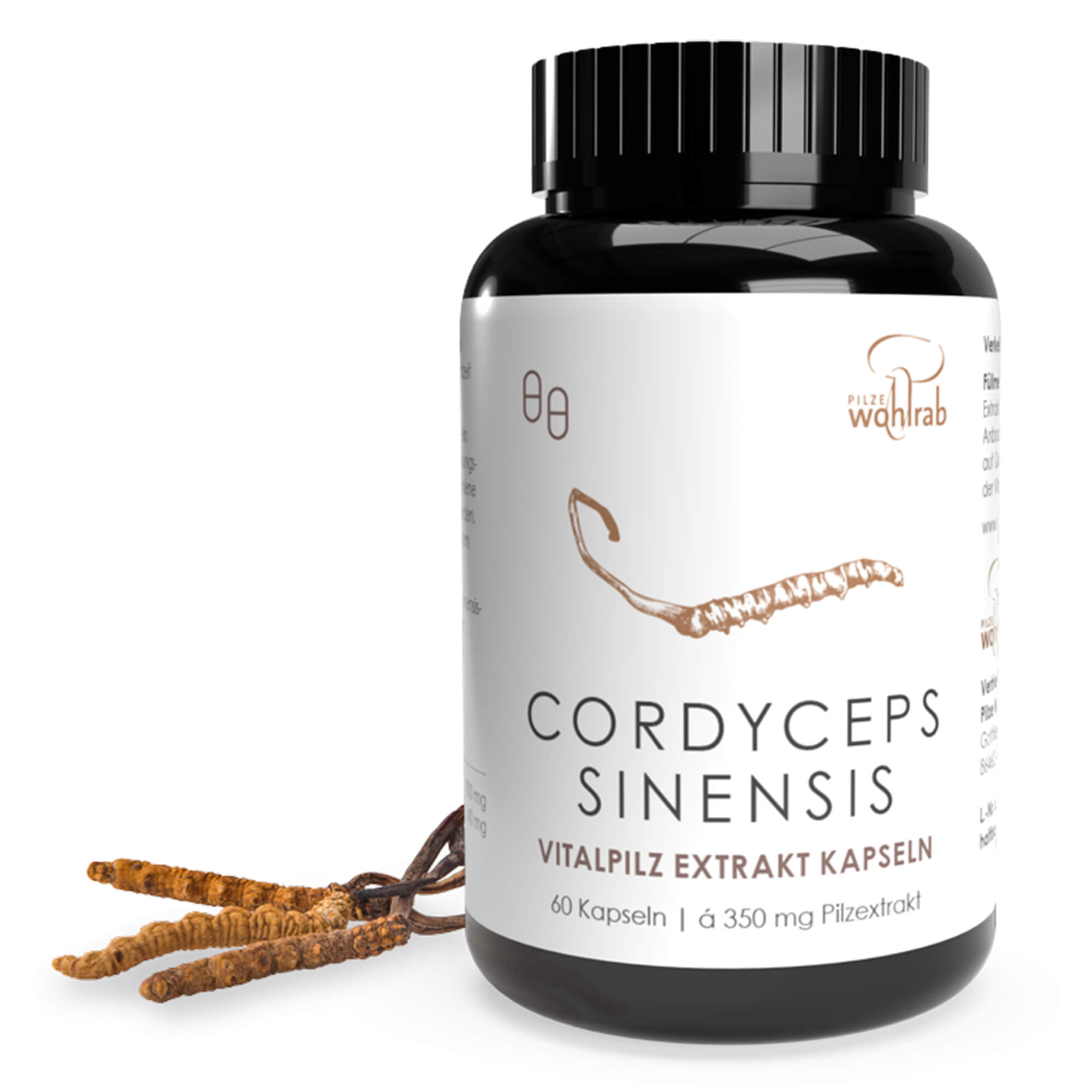 Cordyceps Vitalpilz Extrakt Kapseln Cordyceps Vitalpilz Extrakt Kapseln